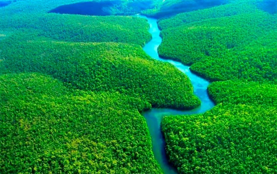 Com foco em renda no campo, Porto Nacional adere ao programa Floresta+ Amazônia