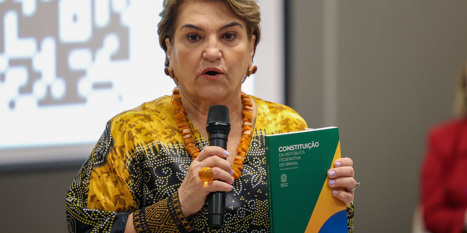 "Temos que agir", diz ministra das mulheres sobre estupro no Rio