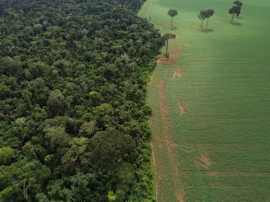 Nova regra ambiental trará mais segurança ao crédito rural, diz Banco do Brasil
