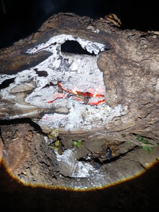 Apoio político de “evangélico” não representa o evangélico raiz