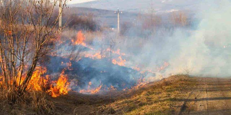 Estado injeta milhões para conter queimadas ilegais e reforçar fiscalização em todo território