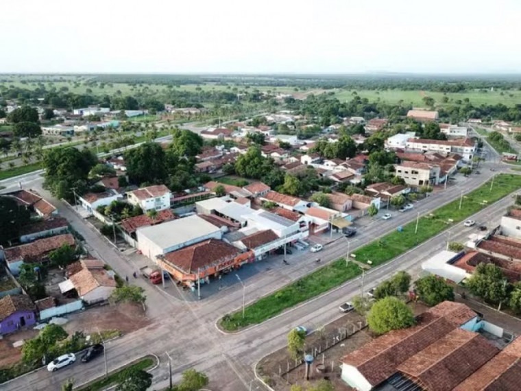 Cidade do Tocantins é obrigada a plantar árvores e arborizar escolas sob pena de multa diária