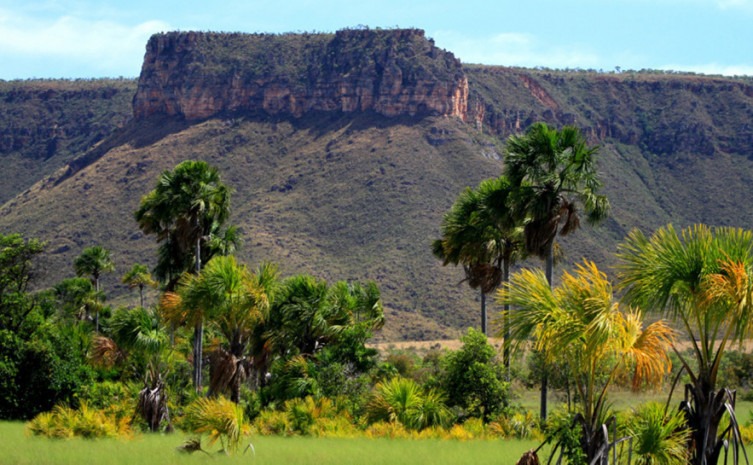 Tocantins conquista 1º lugar em sustentabilidade no país