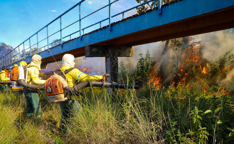 Tocantins mobiliza brigadistas para fortalecer ações de prevenção e combate aos incêndios
