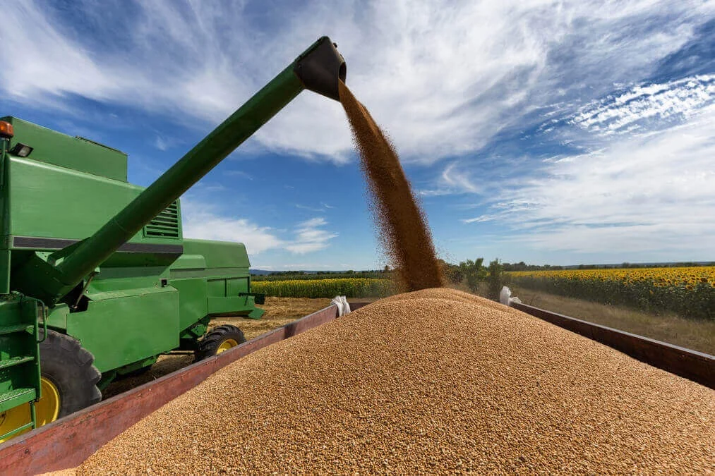 Fenômeno El Niño pode comprometer o plantio e reduzir a produtividade no campo
