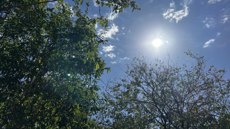 Calor extremo e estiagem acendem alerta duplo no Tocantins para consumo de água e energia