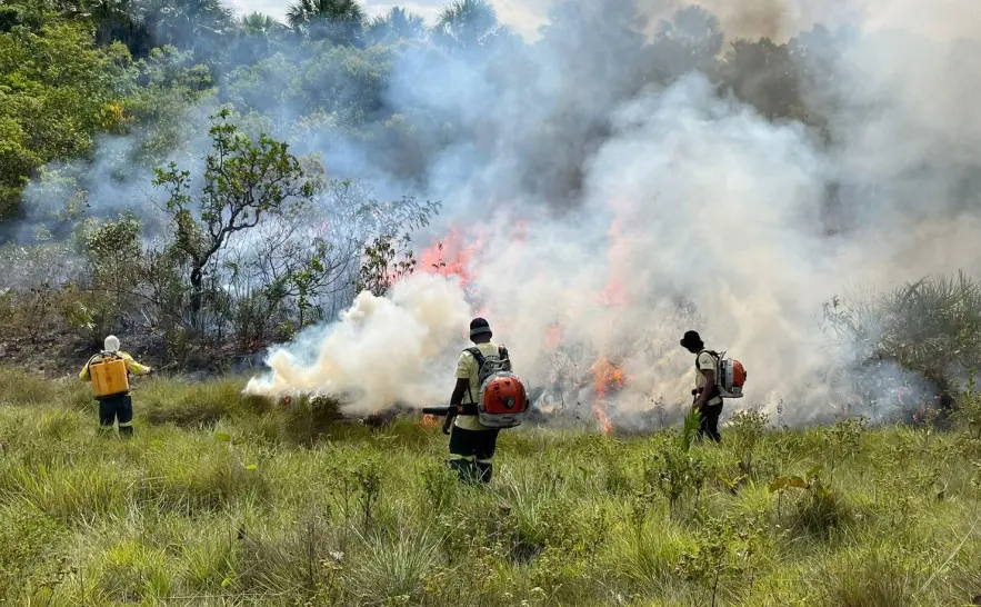 Tocantins suspende autorizações para queima controlada até 31 de outubro