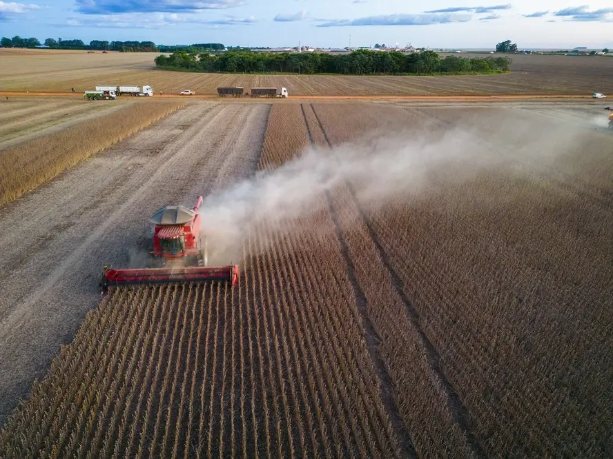 El Niño aumenta preocupação com seguro rural em cenário de crédito restrito e baixa cobertura