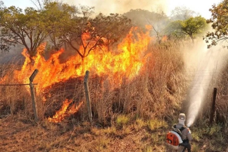 Tocantins é o estado com maior área queimada do Brasil em 2026 e acende alerta ambiental