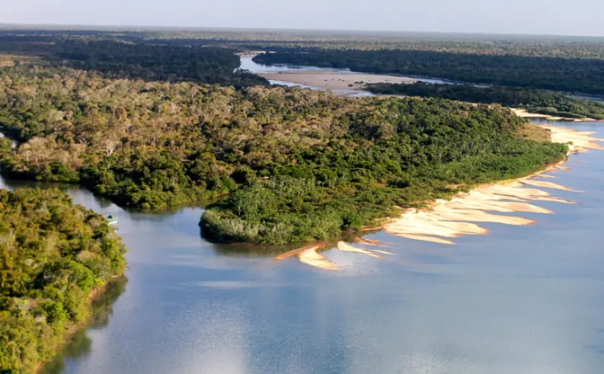 Tocantins integra levantamento que aponta queda de processos por crimes contra a flora na Amazônia Legal