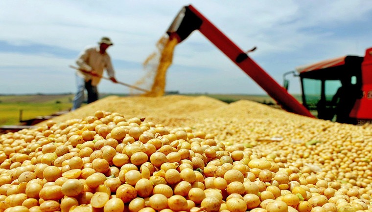 Produtividade dispara 69,7% e coloca Tocantins entre destaques do novo mapa econômico do Brasil