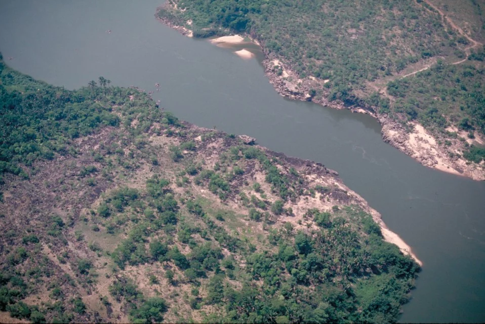 Alto Tocantins e Araguaia concentram 41% da perda de vegetação nativa próxima a rios no Cerrado
