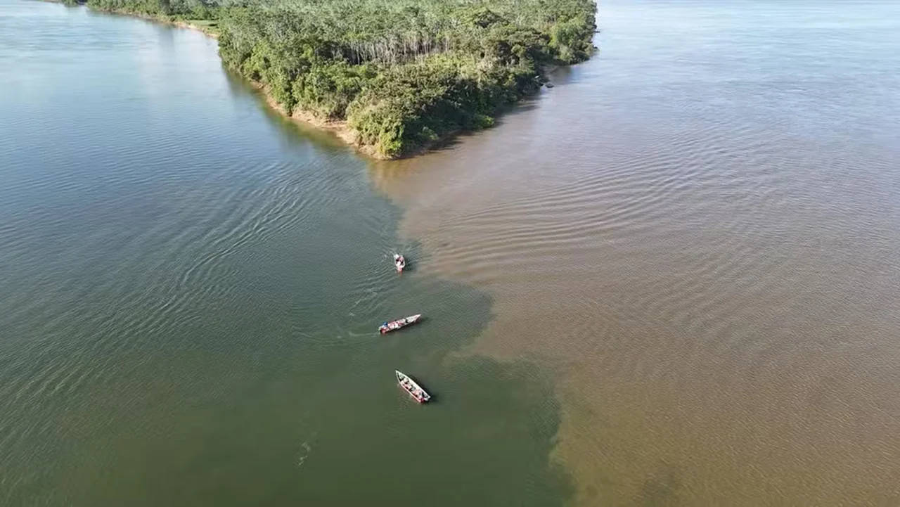 Tocantins e Araguaia concentram 41% da perda de vegetação próxima a rios do Cerrado