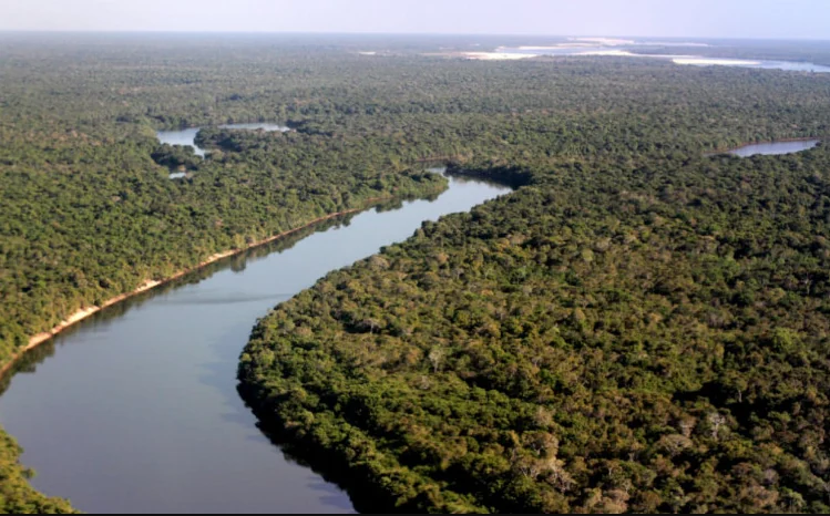 UFT abre inscrições para mestrado e doutorado em Ciências Florestais e Ambientais no Tocantins