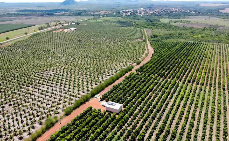Tocantins está entre regiões que exigem atenção para risco de poluição da água pela agropecuária, aponta Embrapa